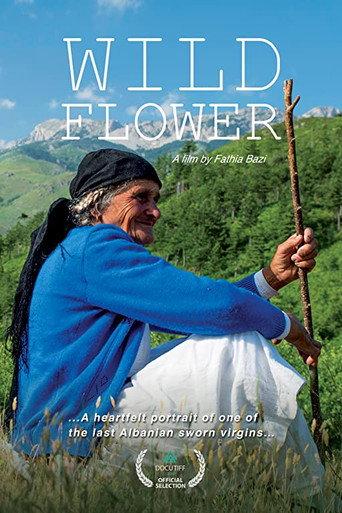 Wild Flower (2016) poster