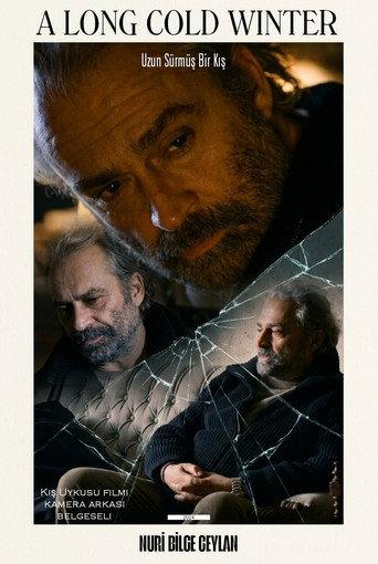 A Long Cold Winter (2024) poster