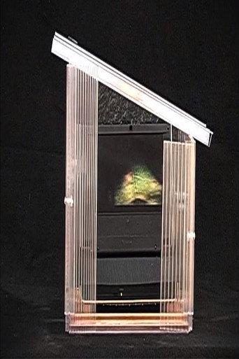 Luminous Greenhouse (2011) poster