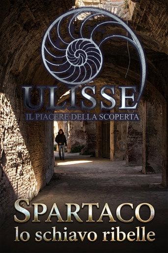 Spartaco, lo schiavo ribelle (2017) poster
