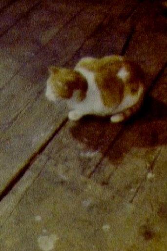 Cat (1979) poster