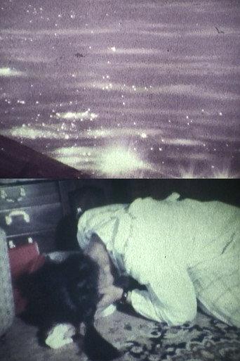 ALONE IN THE WIND (1981) poster