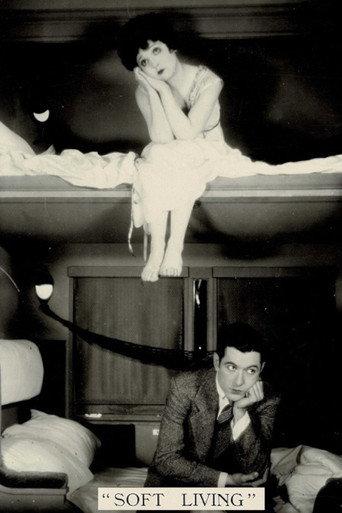 Soft Living (1928) poster