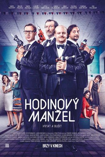 Husband to Rent (2014) poster