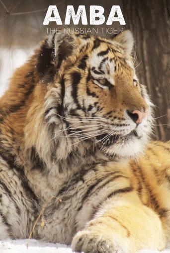 Amba: The Russian Tiger (2005) poster