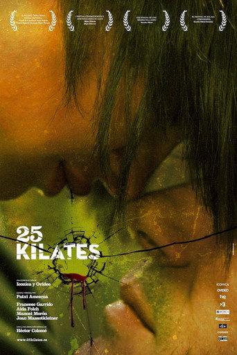 25 Carat (2008) poster