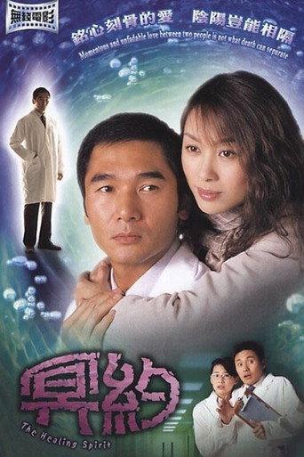 The Healing Spirit (2002) poster
