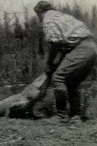 Scenes of the Everglades (1928) poster