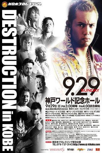 NJPW Destruction 2013 (2013) poster