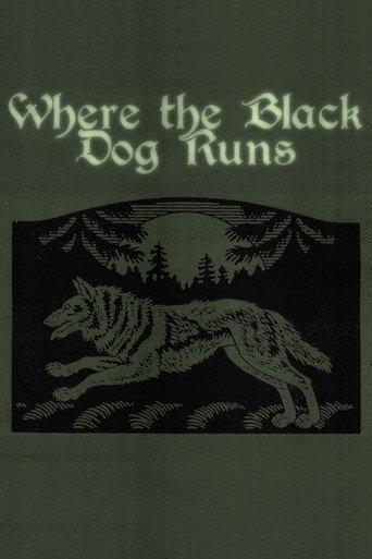 Where the Black Dog Runs (2026) poster