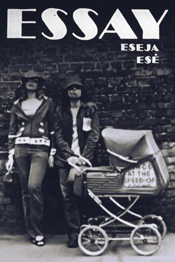 Essay (1981) poster
