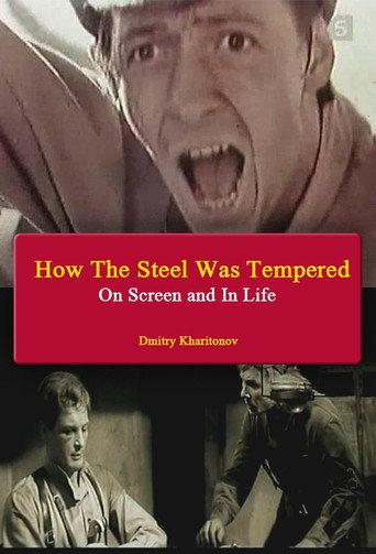 How The Steel Was Tempered - On Screen and In Life (2007) poster