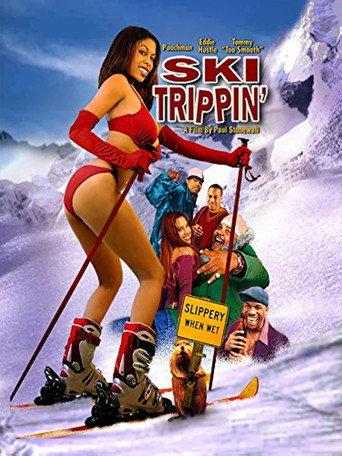 Ski Trippin' (2005) poster