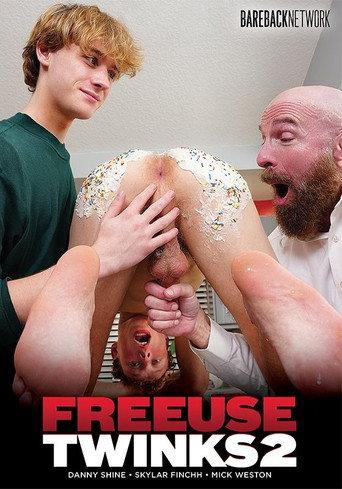 Freeuse Twinks 2 (2025) poster