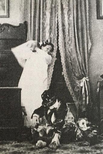 Married for Millions (1906) poster