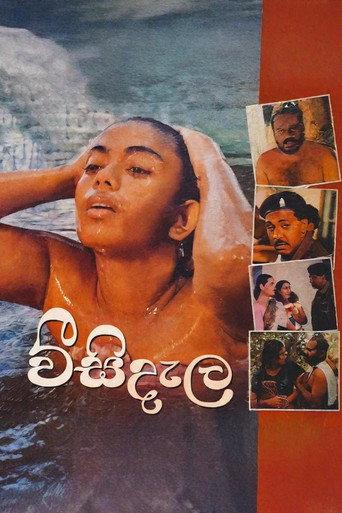 Weesi Dela (1997) poster