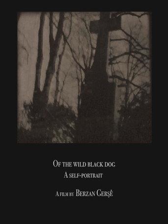 Of The Wild Black Dog (2020) poster