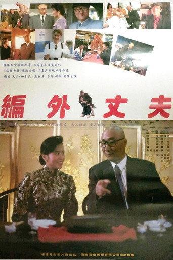 编外丈夫 (1993) poster