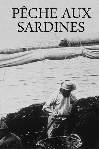 Sardine Fishing (1896) poster