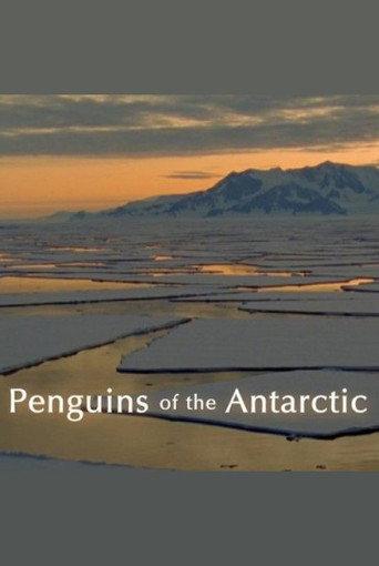 Penguins of the Antarctic (2006) poster