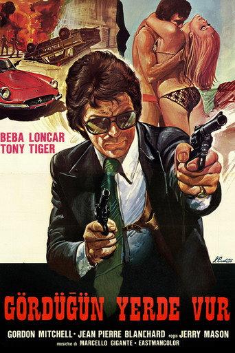 Special Squad Shoots on Sight (1976) poster