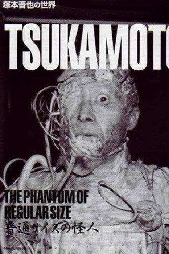 The Phantom of Regular Size (1986) poster