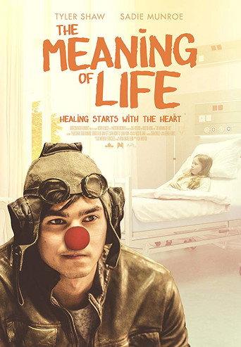 The Meaning Of Life (2019) poster