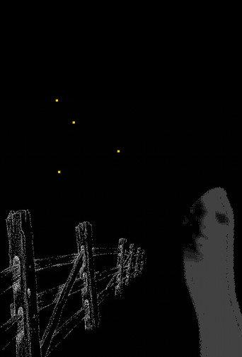 Fireflies Along the Fence (2025) poster