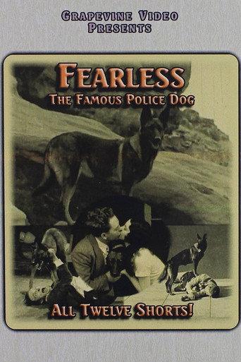 The Love Fighter (1926) poster