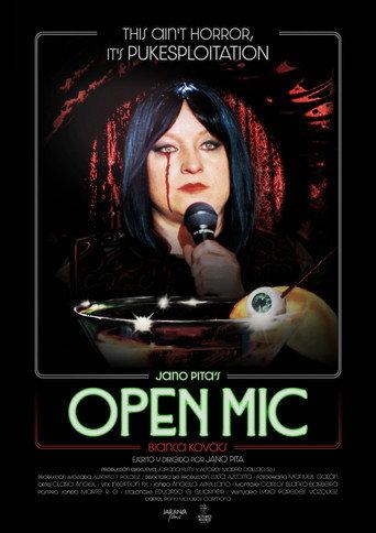 Open Mic (2025) poster