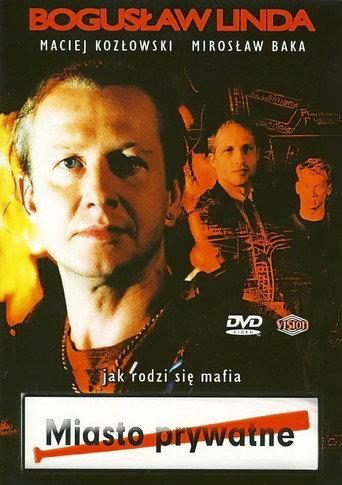 Private Town (1994) poster