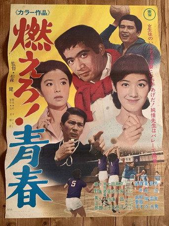 The Flame of Youth (1968) poster