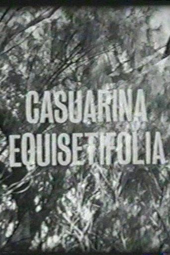 Casuarina Equisetifolia (1963) poster