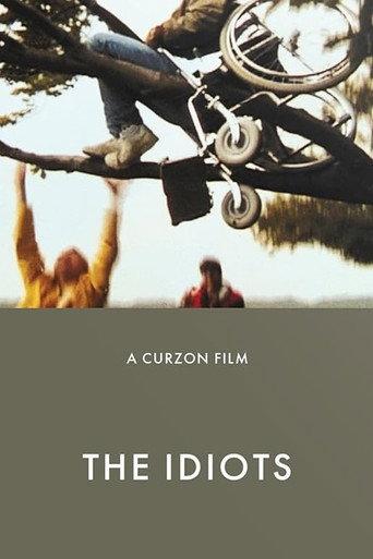 Looking Back At The Idiots (2005) poster