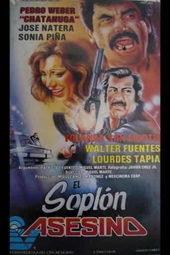 El soplón asesino (1994) poster