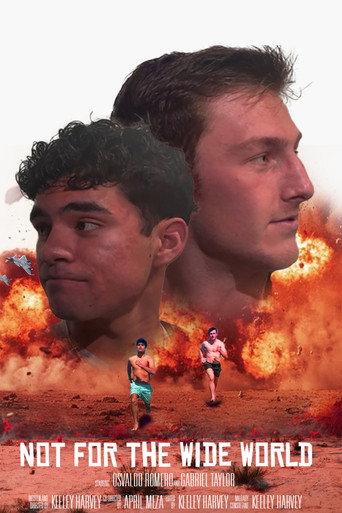 Not for the Wide World (2026) poster