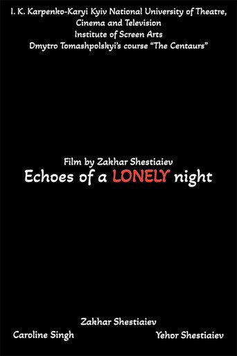 Echoes of a LONELY night (2024) poster