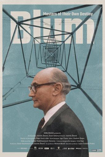 Blum: Masters of Their Own Destiny (2024) poster