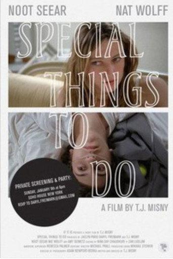 Special Things to Do (2011) poster