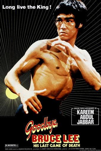 Goodbye Bruce Lee: His Last Game of Death (1975) poster
