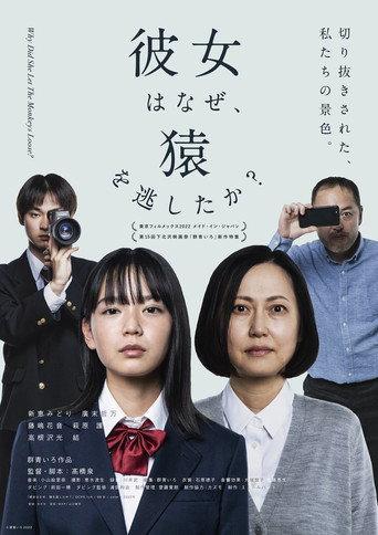 Why Did She Let the Monkeys Loose? (2024) poster