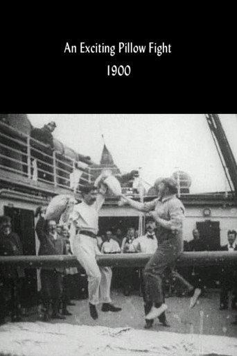 An Exciting Pillow Fight (1900) poster