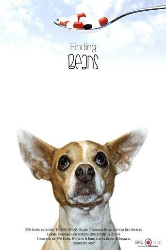 Finding Beans () poster