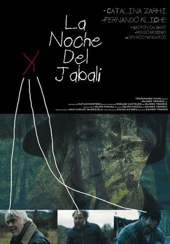 The Night Of The Wild Boar (2016) poster