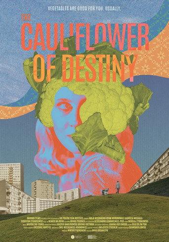 The Cauliflower of Destiny (2026) poster