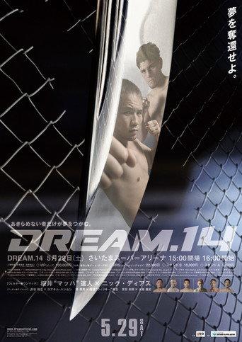 DREAM 14 (2010) poster