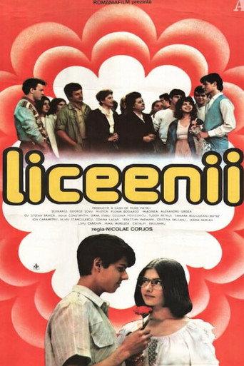 The High Schoolers (1986) poster