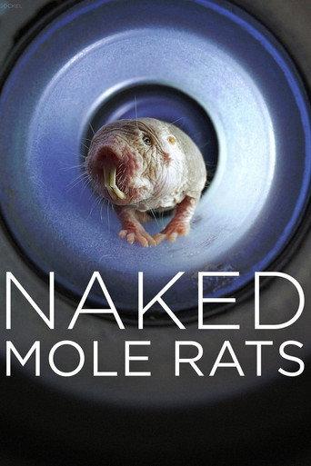 Naked Mole Rats (2019) poster