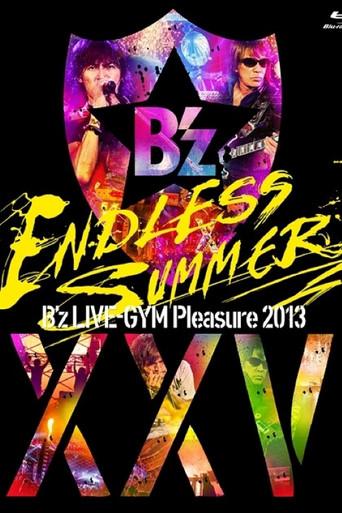 B'z LIVE-GYM Pleasure 2013 ENDLESS SUMMER -XXV BEST- (2014) poster