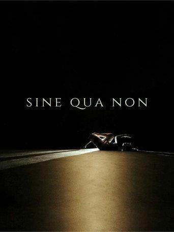 Sine Qua Non (2024) poster